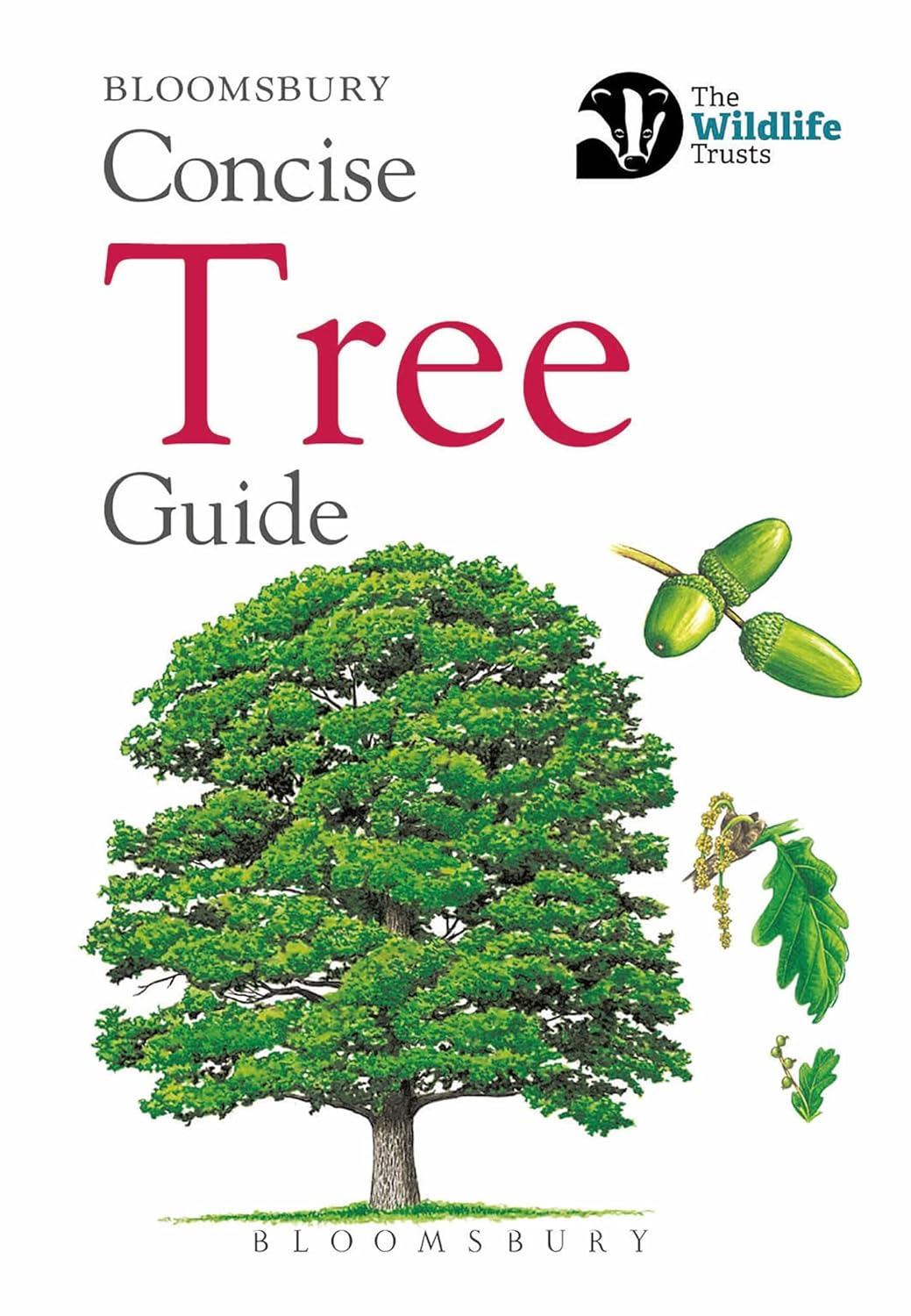 Concise Tree Guide - By Bloomsbury