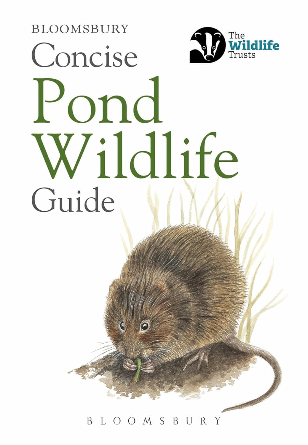 Concise Pond Wildlife Guide - By Bloomsbury