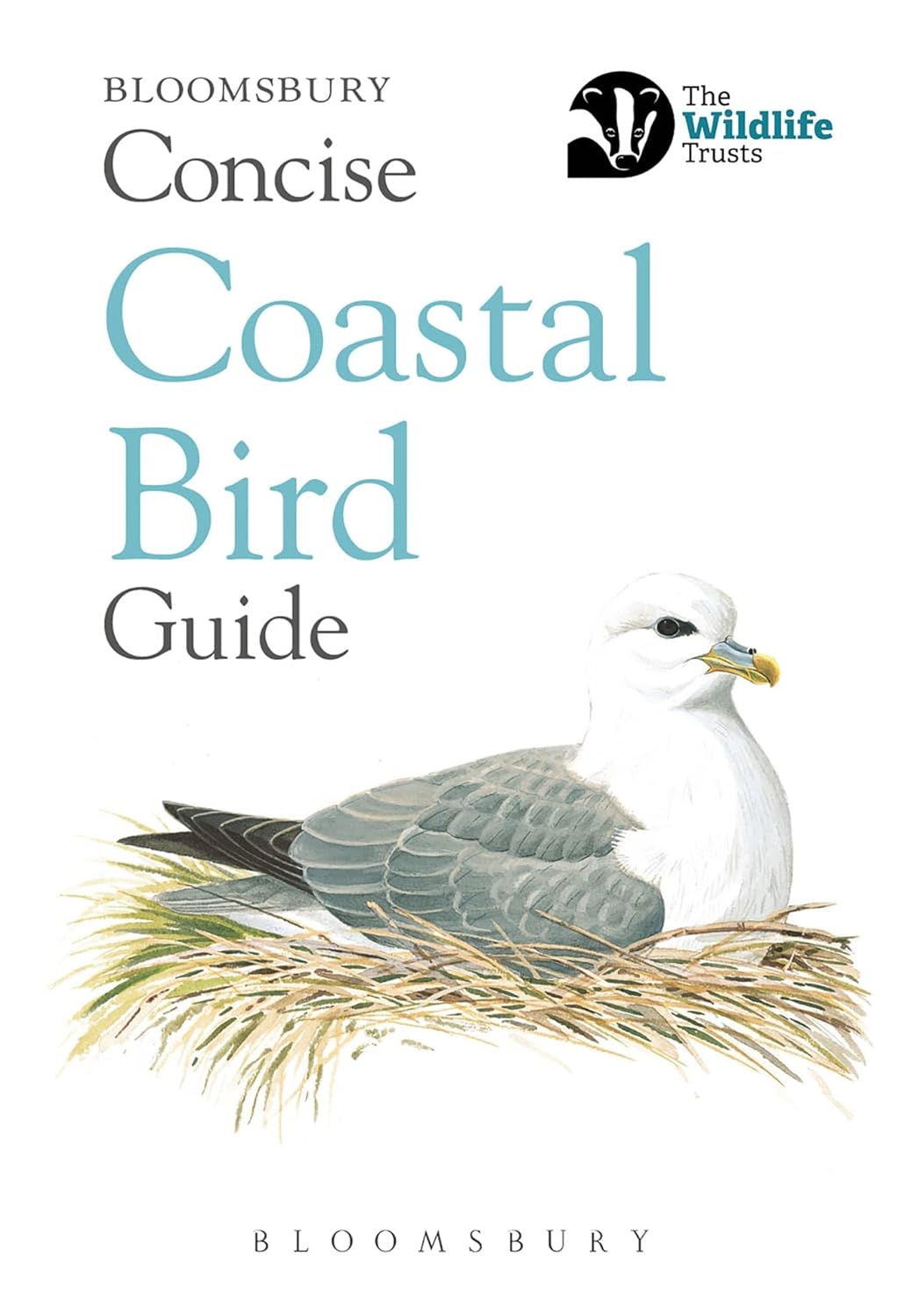 Concise Coastal Bird Guide - By Bloomsbury