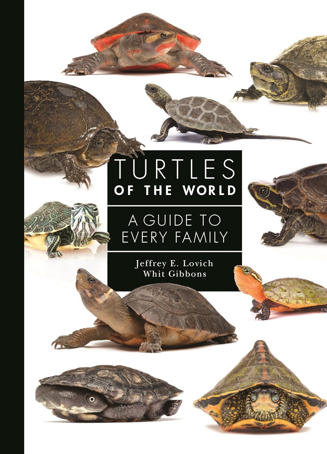 Turtles of the World - By Jeffrey E. Lovich & Whit Gibbons