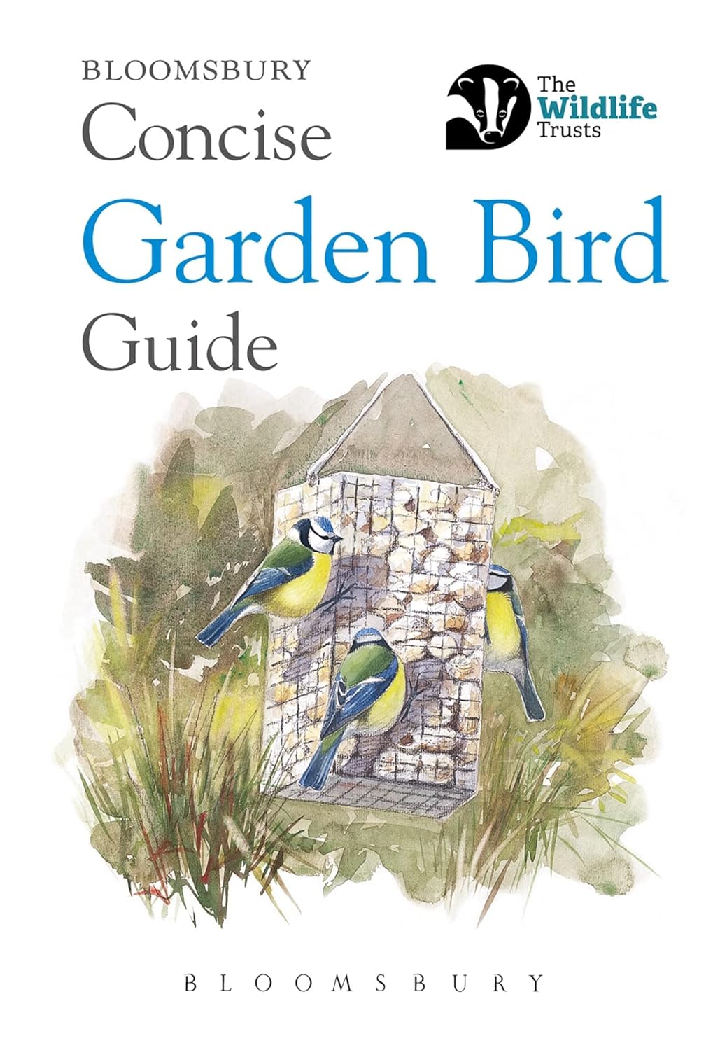 Concise Garden Bird Guide - By Bloomsbury