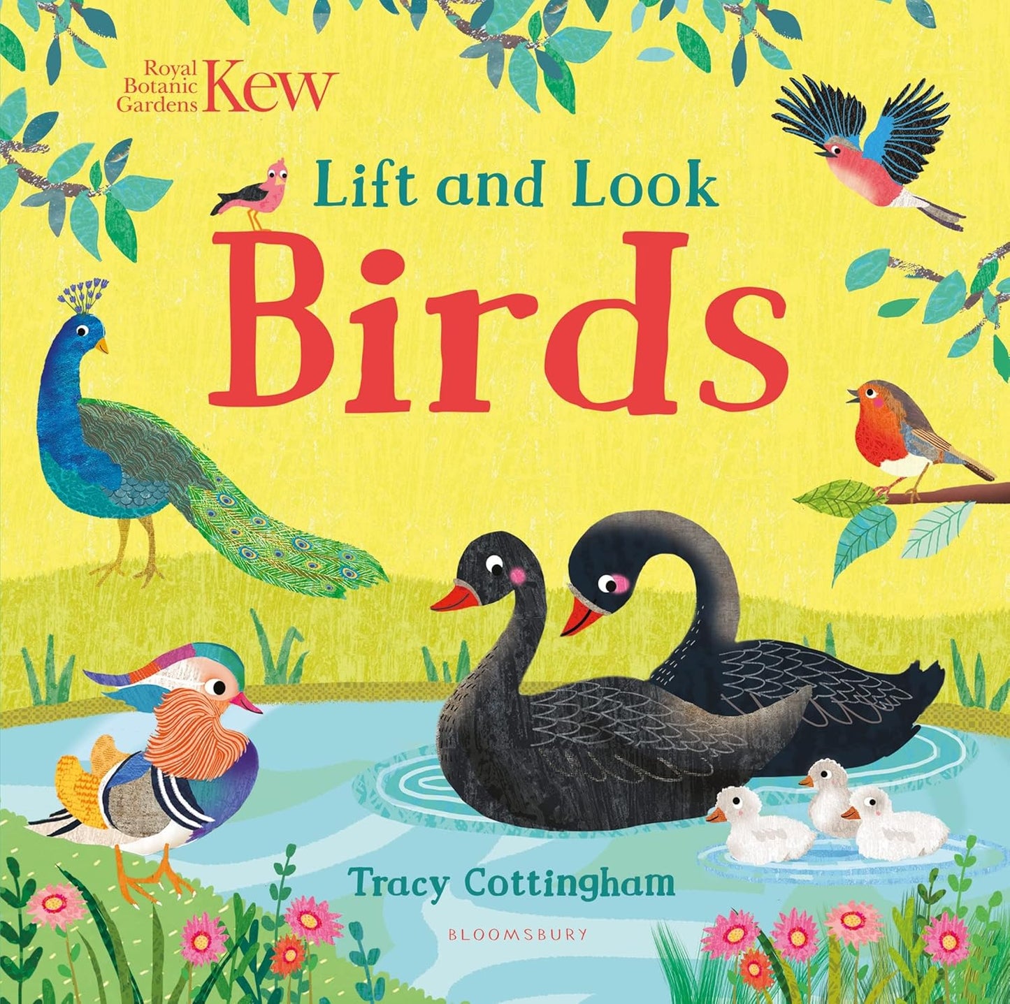 Kew: Lift and Look Birds - By Tracy Cottingham