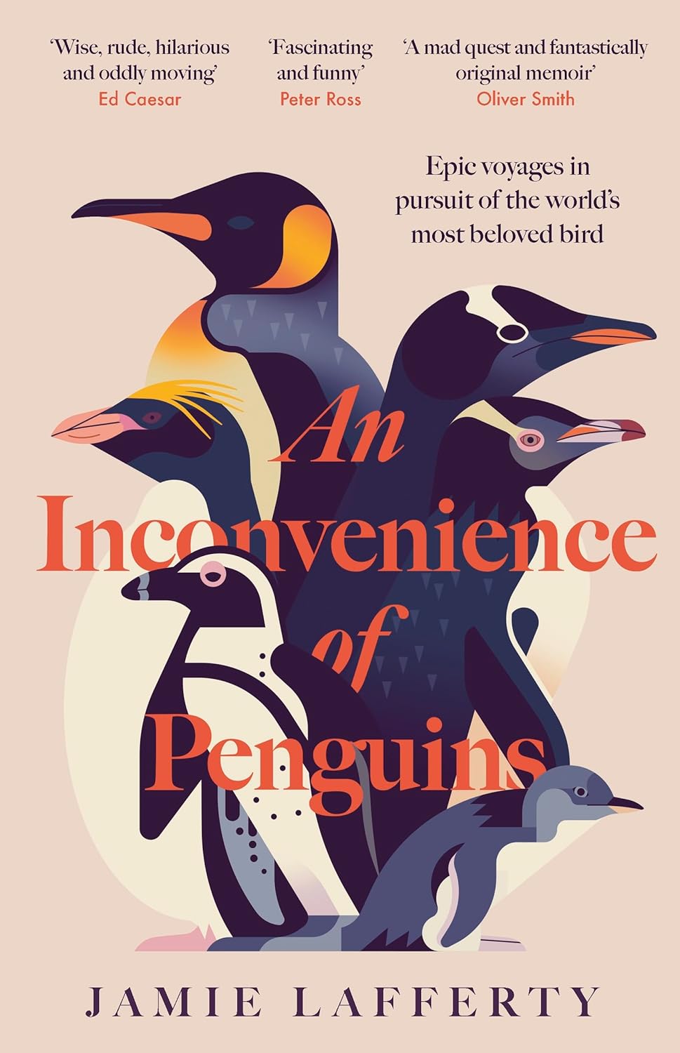 An Inconvenience of Penguins - By Jamie Lafferty
