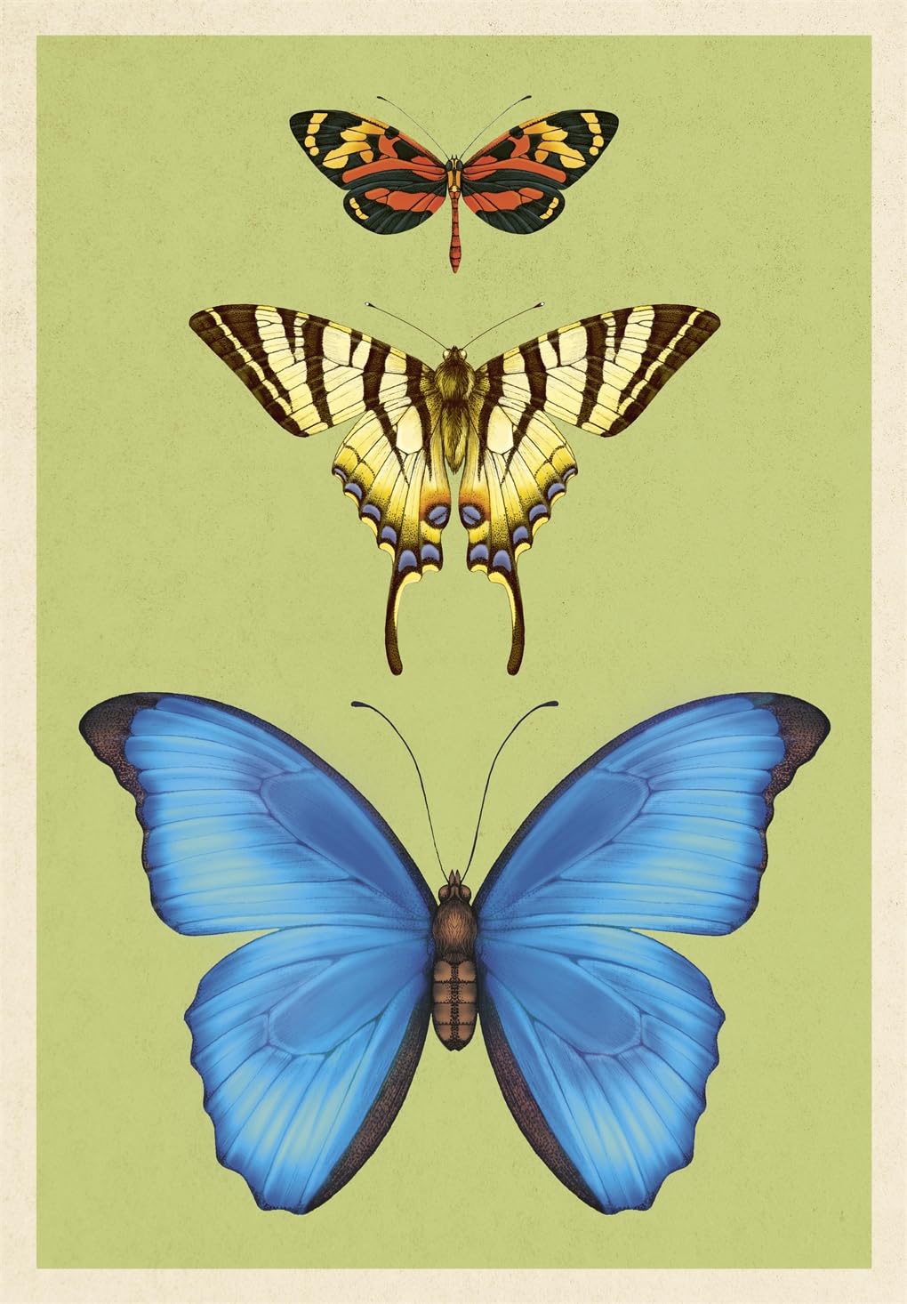 Insectarium Poster Book - By Dave Goulson