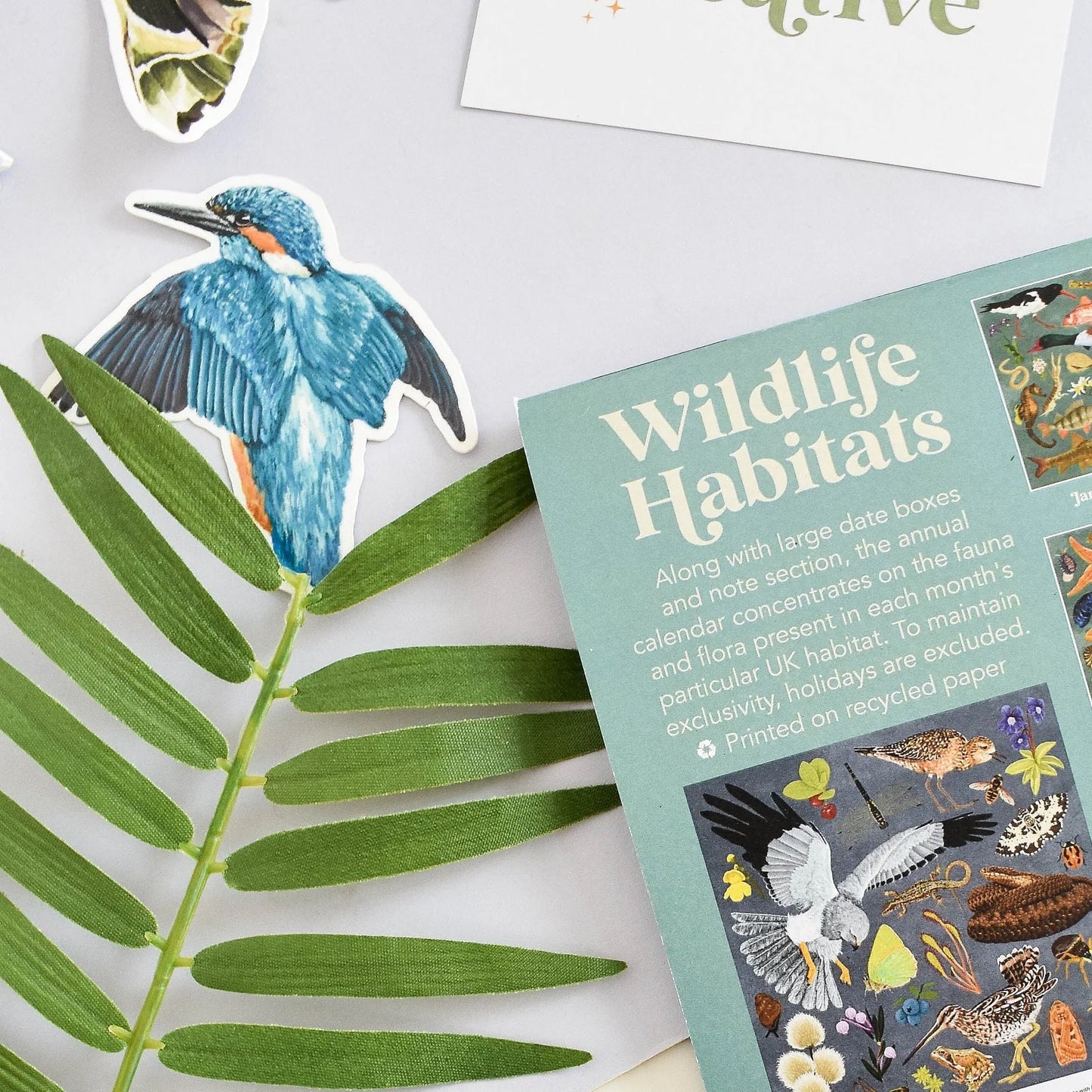 Kingfisher - Vinyl Sticker