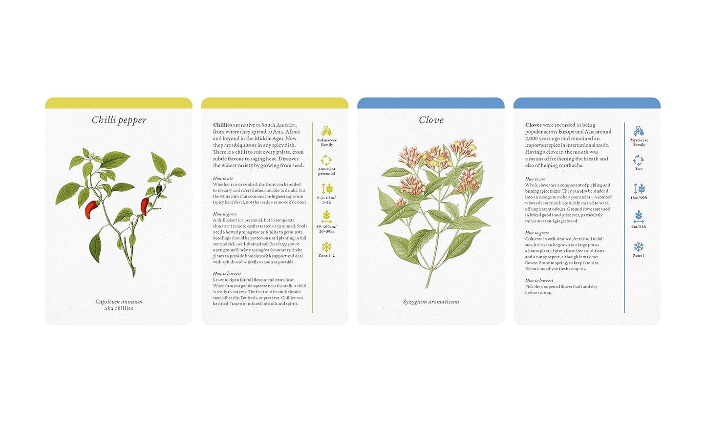 A Kitchen Full of Herbs - Practical Card Deck