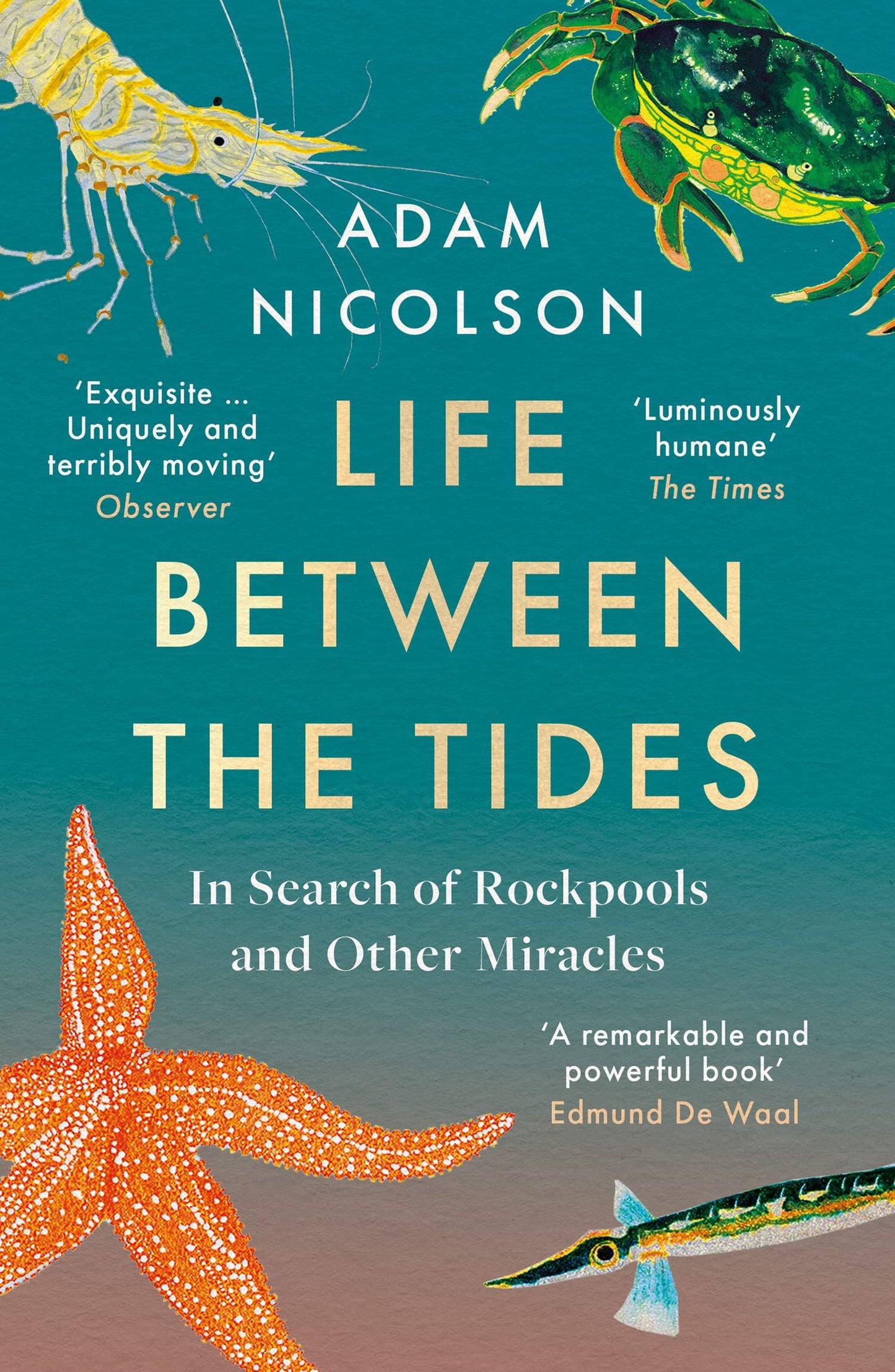 Life Between the Tides - By Adam Nicolson