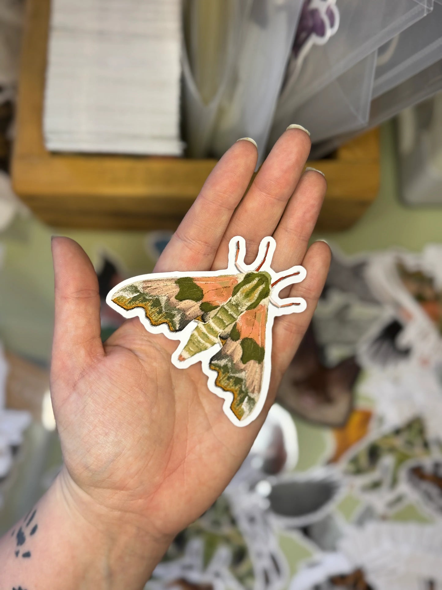 Lime Hawk-Moth - Vinyl Sticker