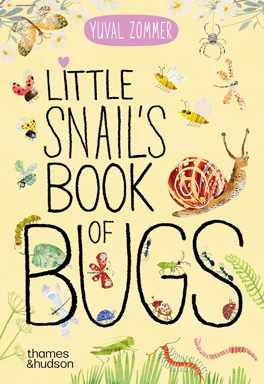 Little Snail's Book of Bugs - By Yuval Zommer