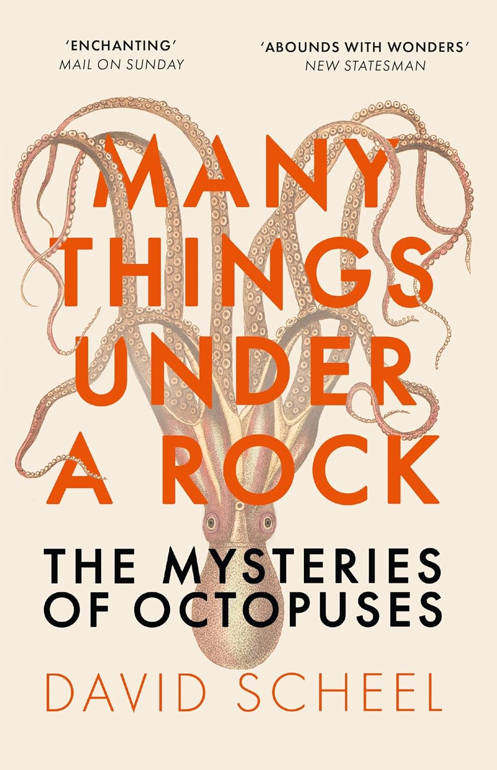 Many Things Under a Rock - By David Scheel