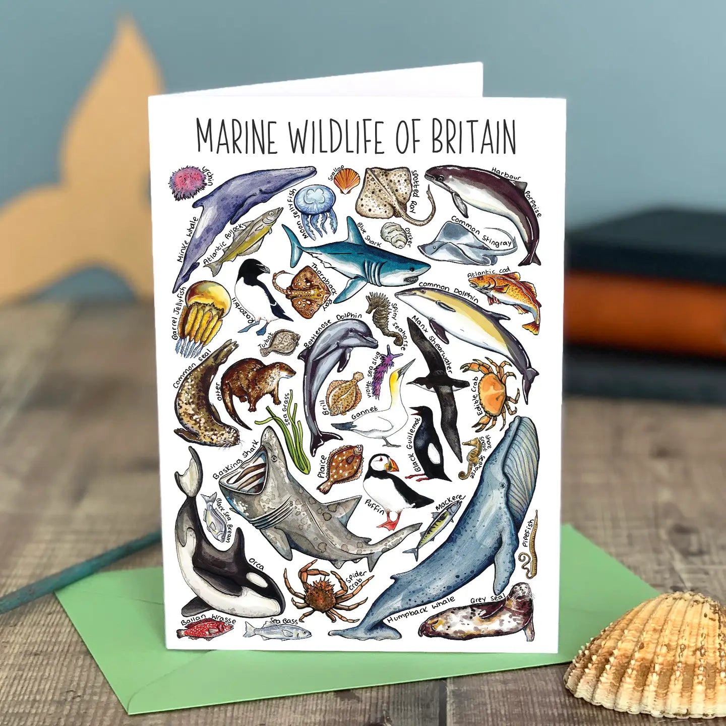 Marine Wildlife - Greetings Card
