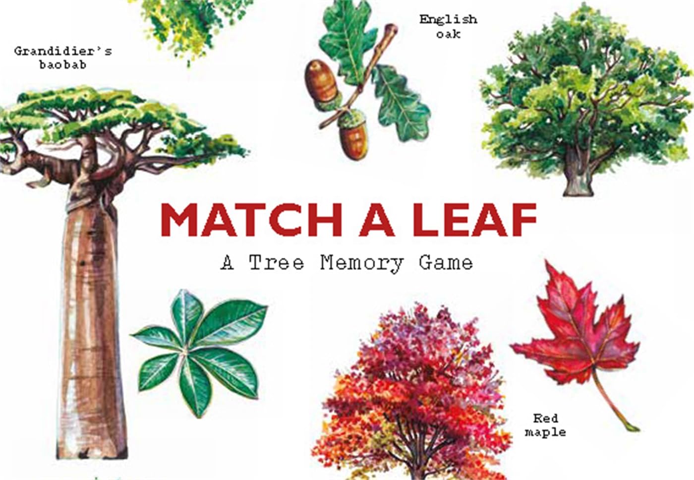 Match a Leaf: A Tree Memory Card Game
