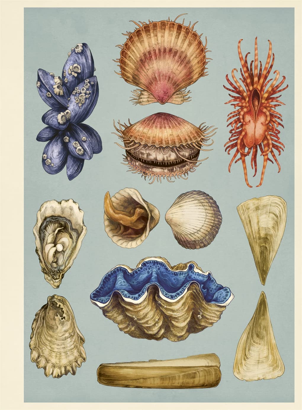 Oceanarium Poster Book - by Loveday Trinick