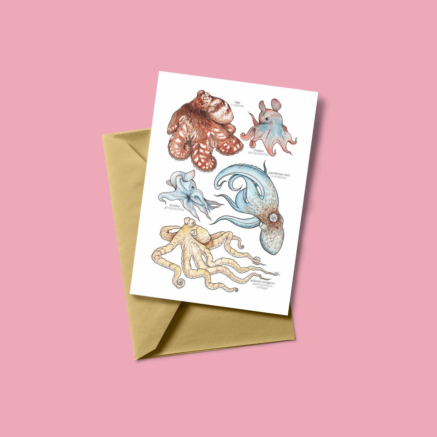 Octopus Species Greetings Card