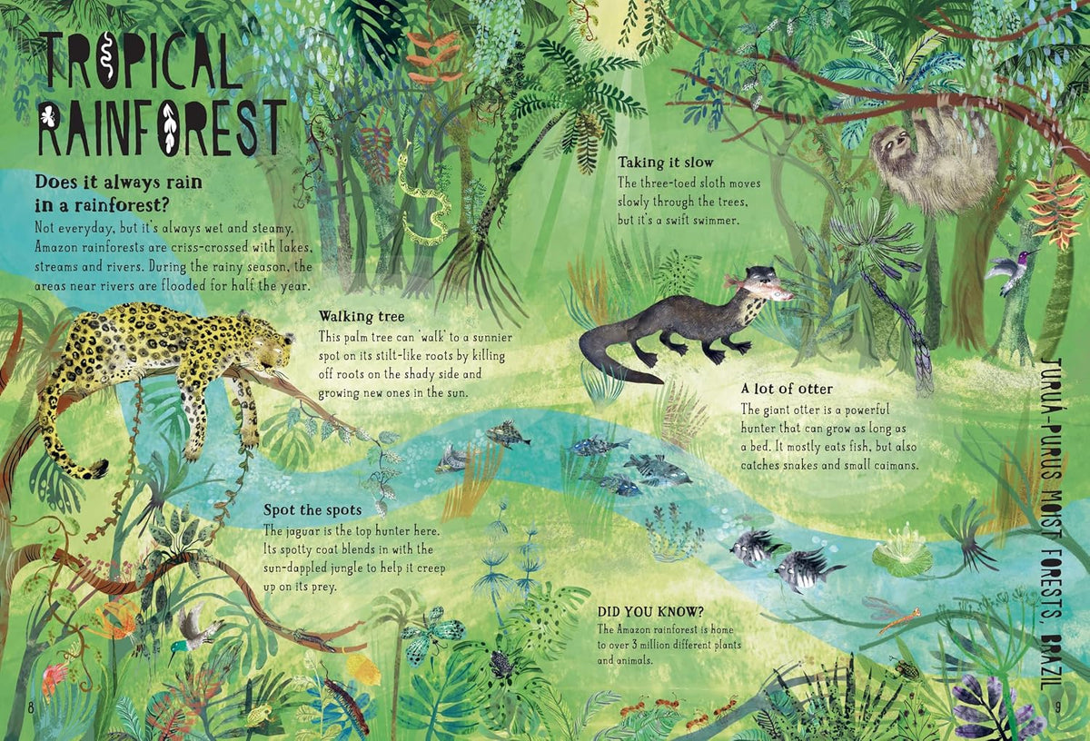 Our Forests - By Yuval Zommer (Hardback)