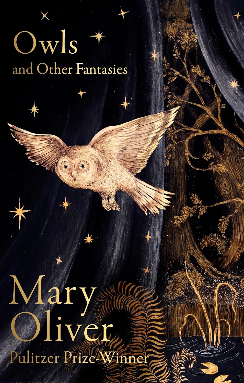 Owls and Other Fantasies - By Mary Oliver (Hardback)