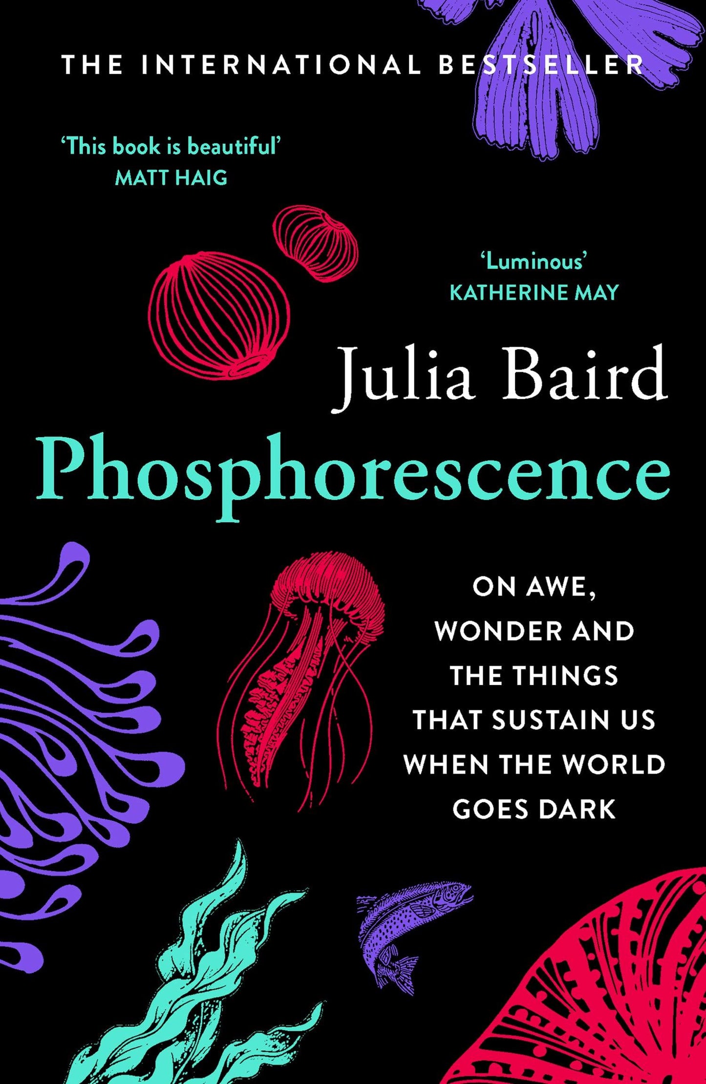 Phosphorescence - By Julia Baird