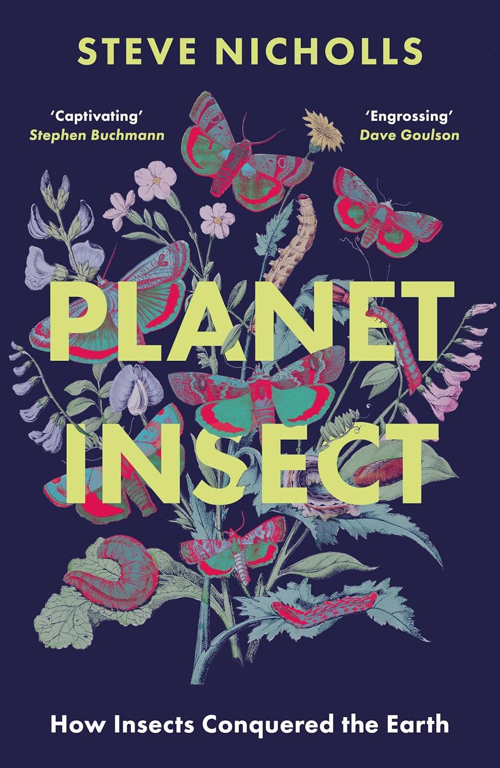 Planet Insect - By Steve Nicholls