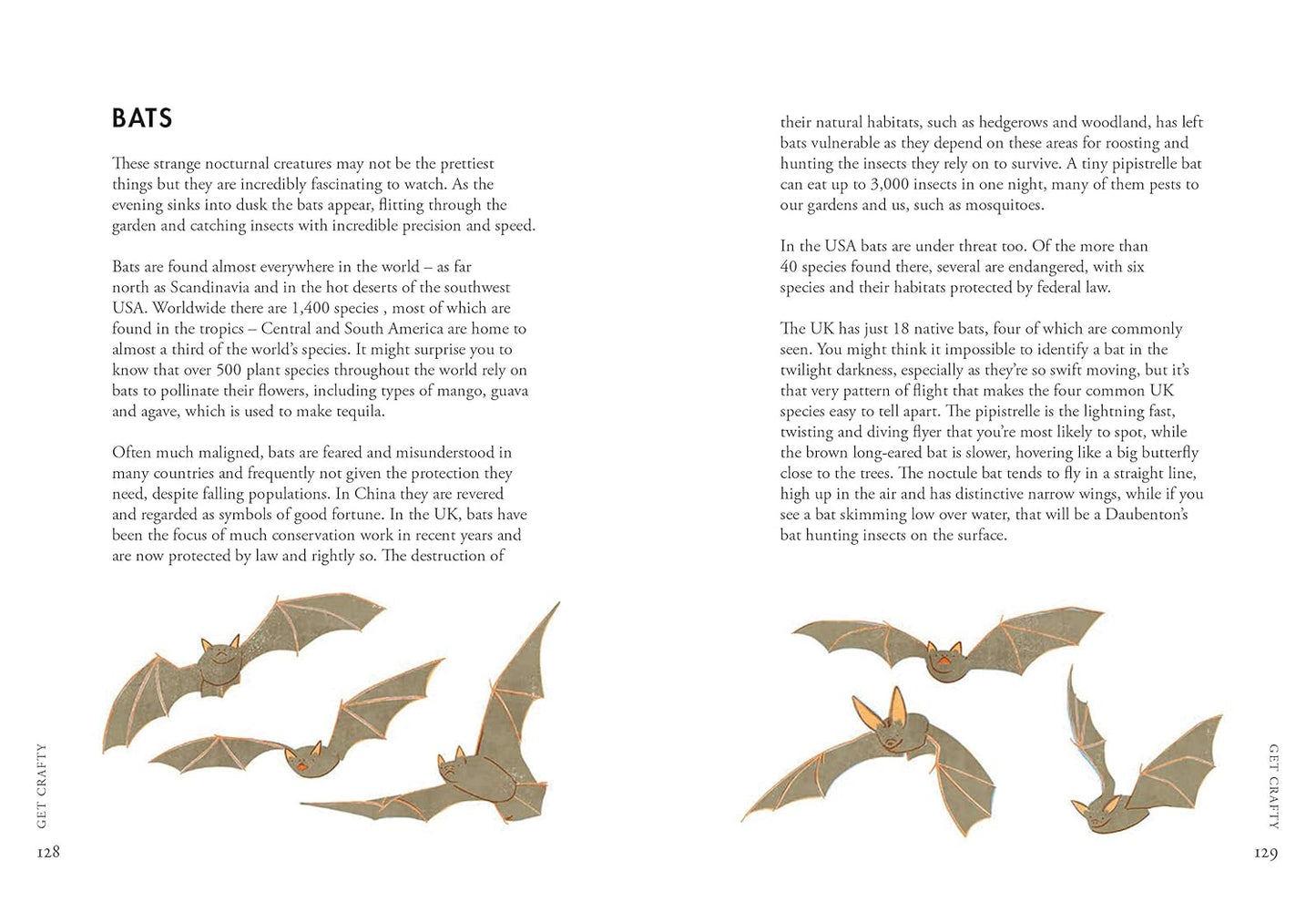 Planting for Wildlife - By Jane Moore