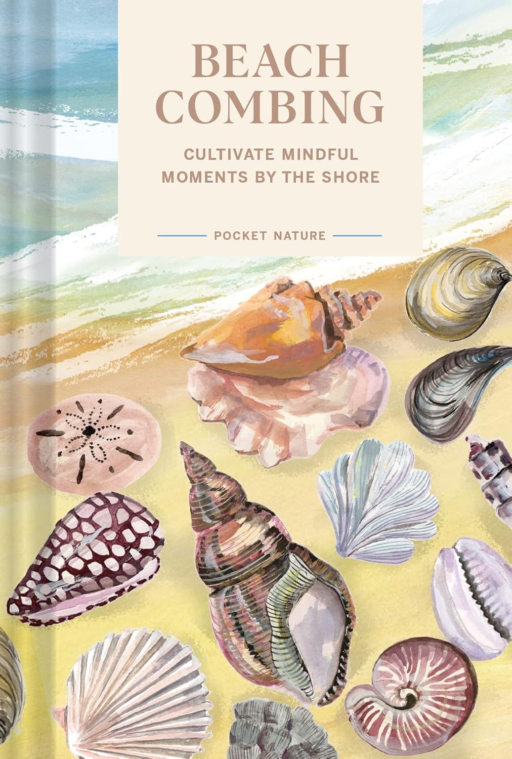 Pocket Nature: Beachcombing - By Sadie Small