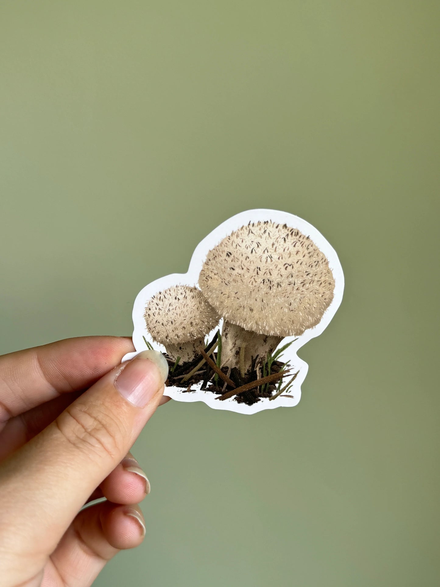Puffball Mushroom - Vinyl Sticker