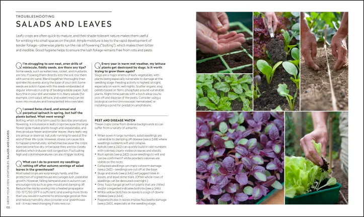 RHS Step-by-Step Veg Patch - By Lucy Chamberlain