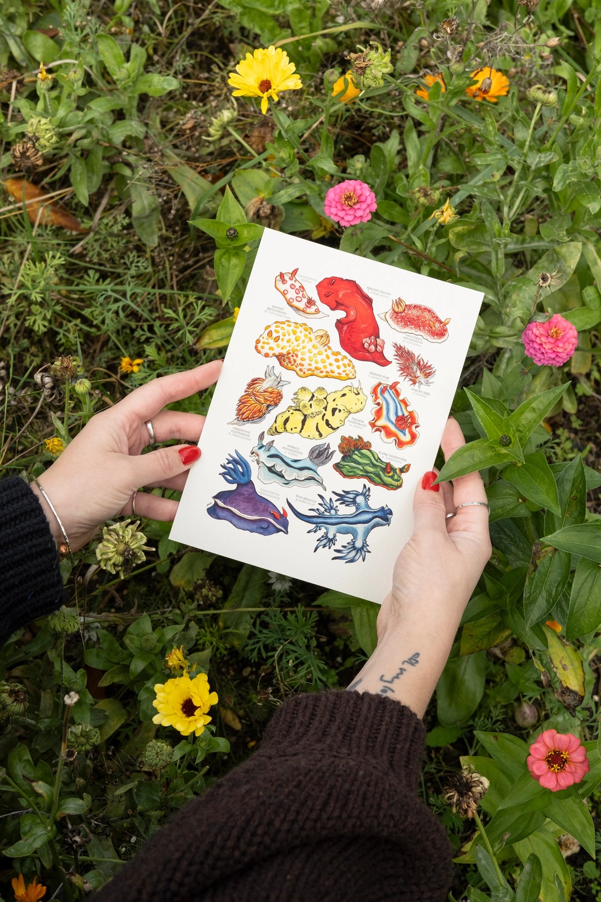 Rainbow Sea Slugs Art Print - A5