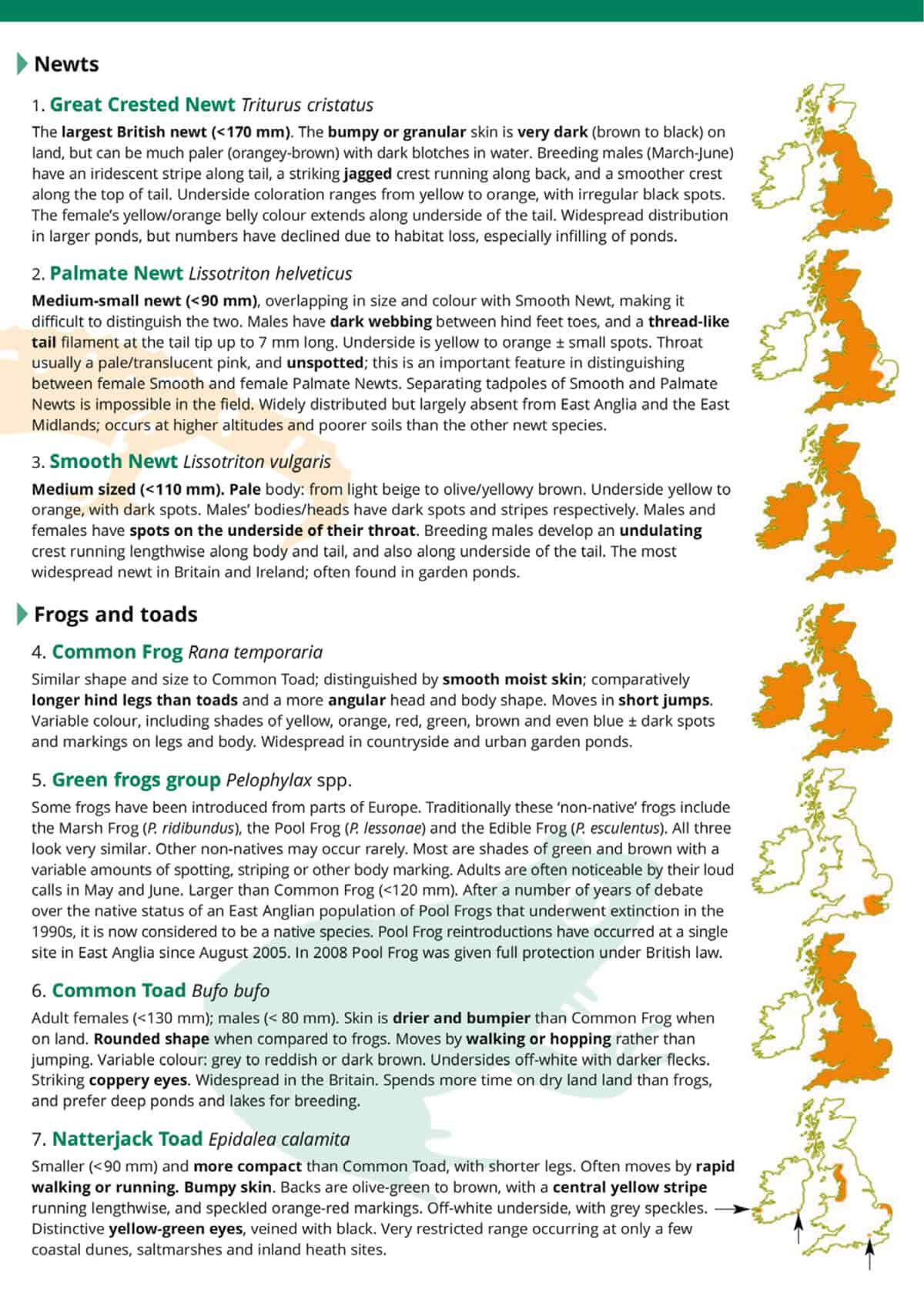Reptiles and Amphibians of Britain and Ireland - Wild ID Guide