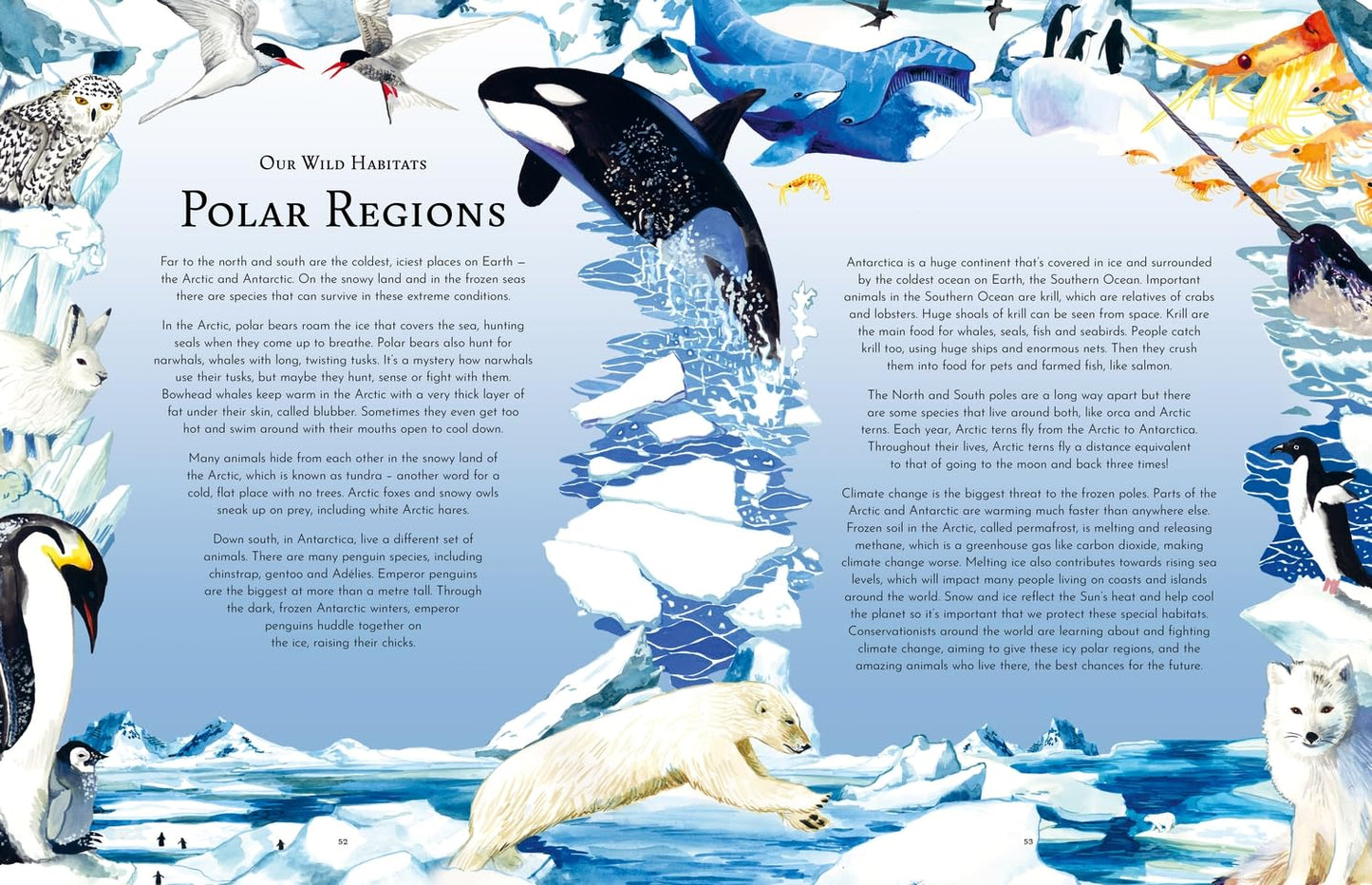Return of the Wild - By Helen Scales & Good Wives and Warriors