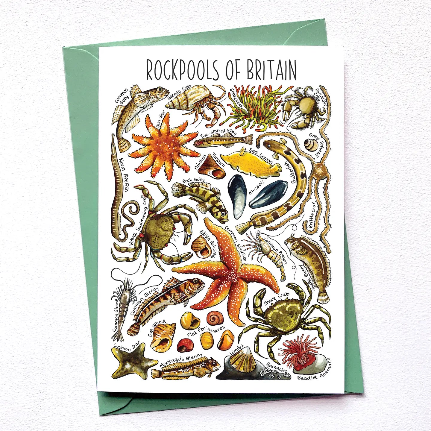 Rockpool's of Britain - Greetings Card