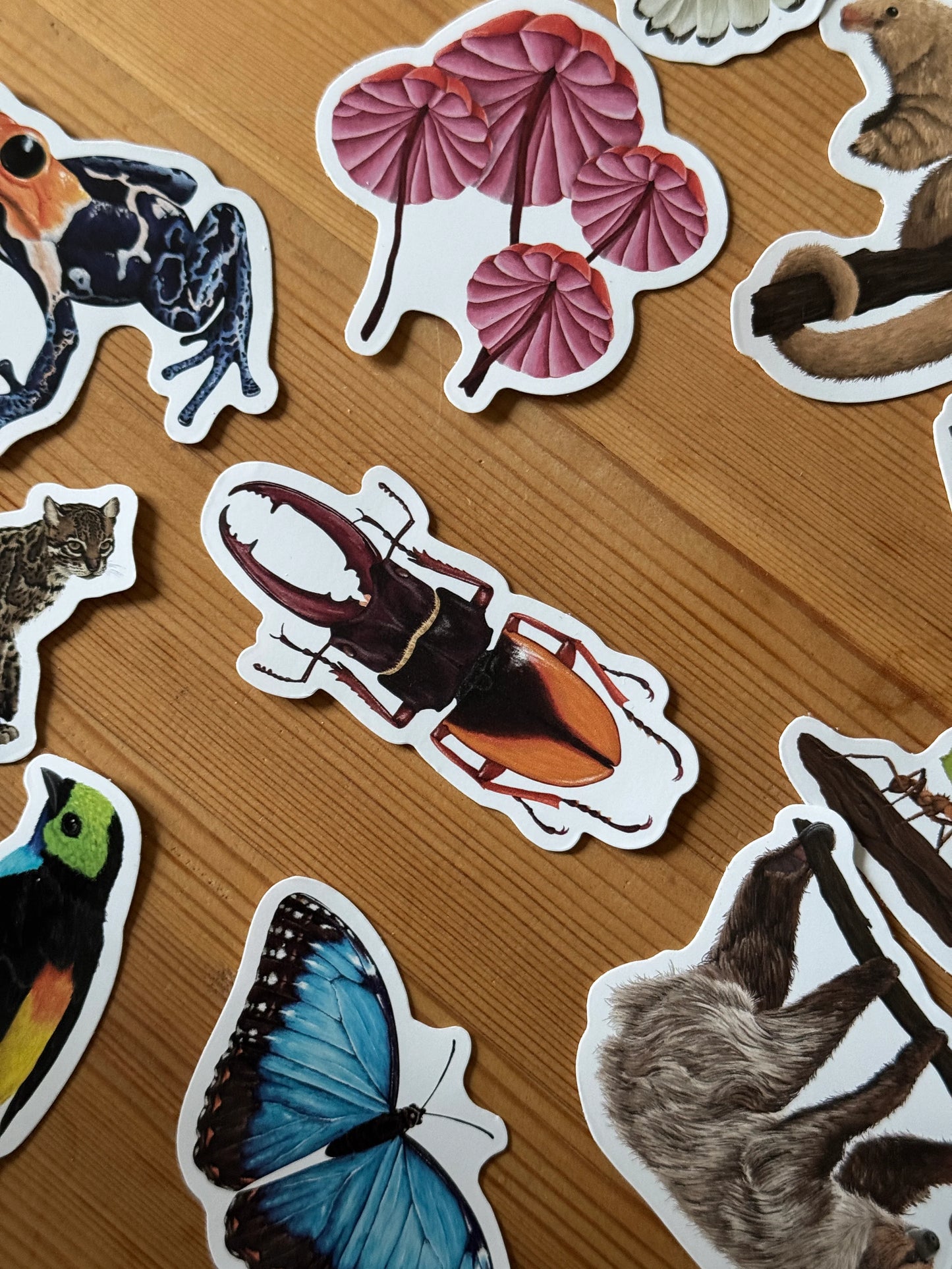 Scarab Beetle - Vinyl Sticker