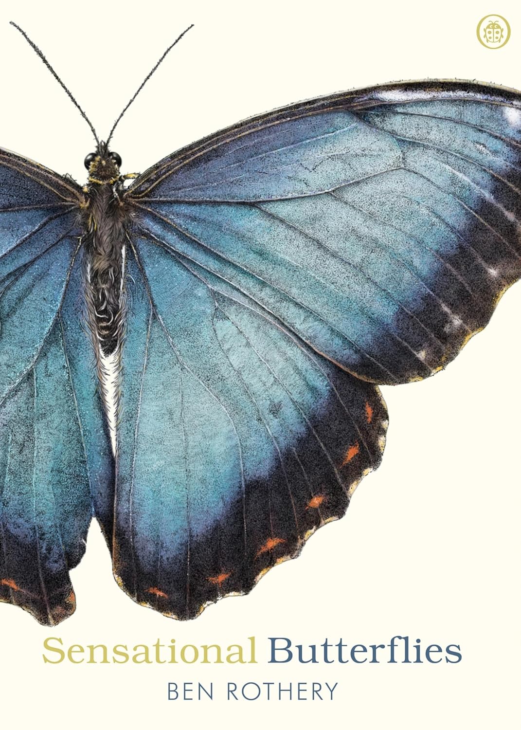 Sensational Butterflies - By Ben Rothery