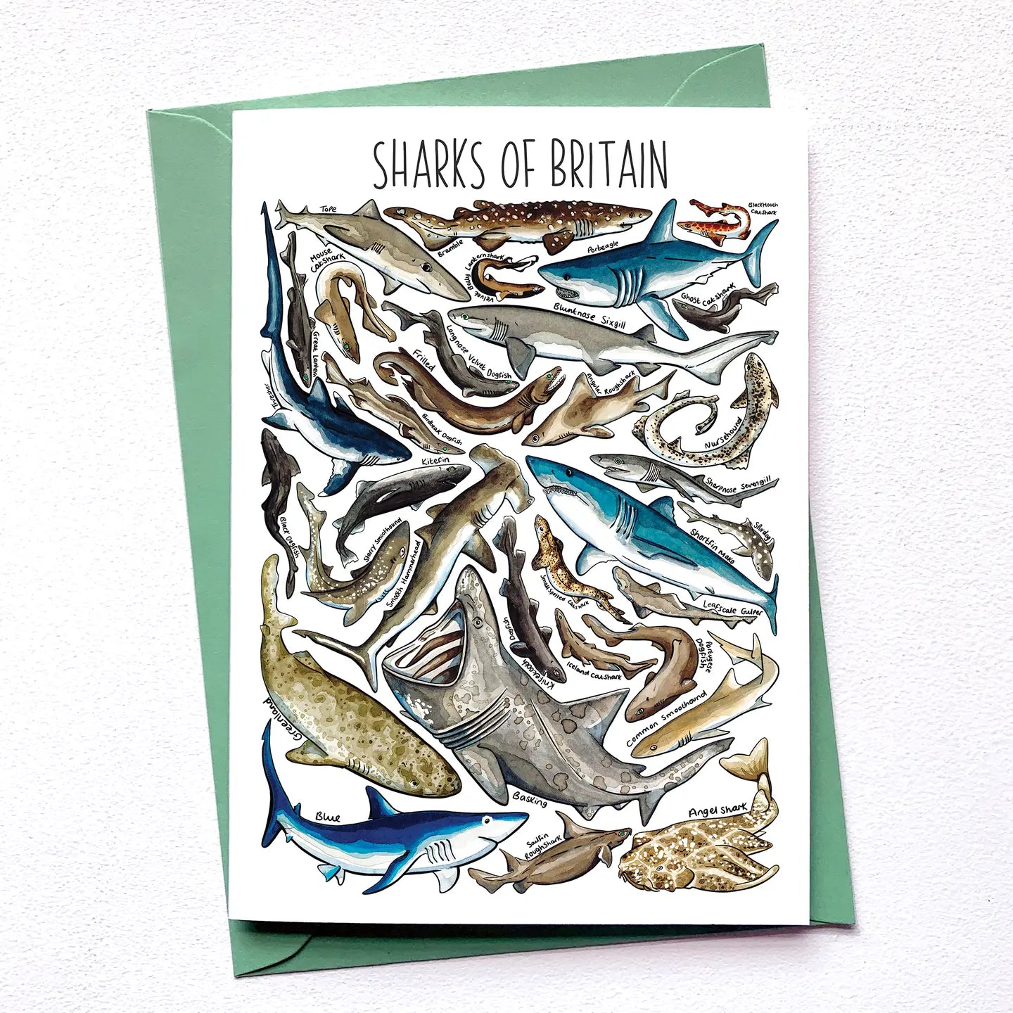 Sharks of Britain - Greetings Card