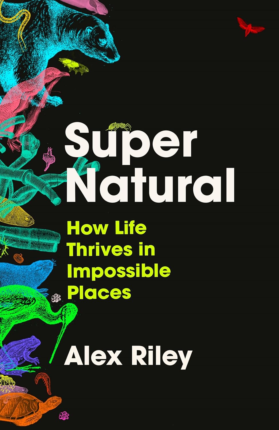 Supernatural - By Alex Riley