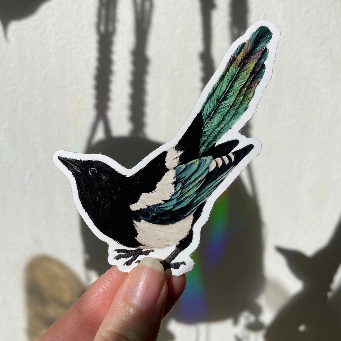 Tail-up Magpie - Vinyl Sticker