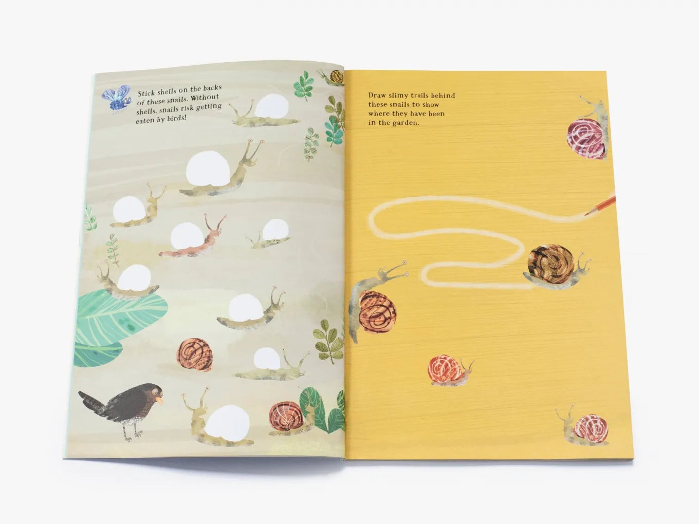 The Big Sticker Book of Bugs - By Yuval Zommer