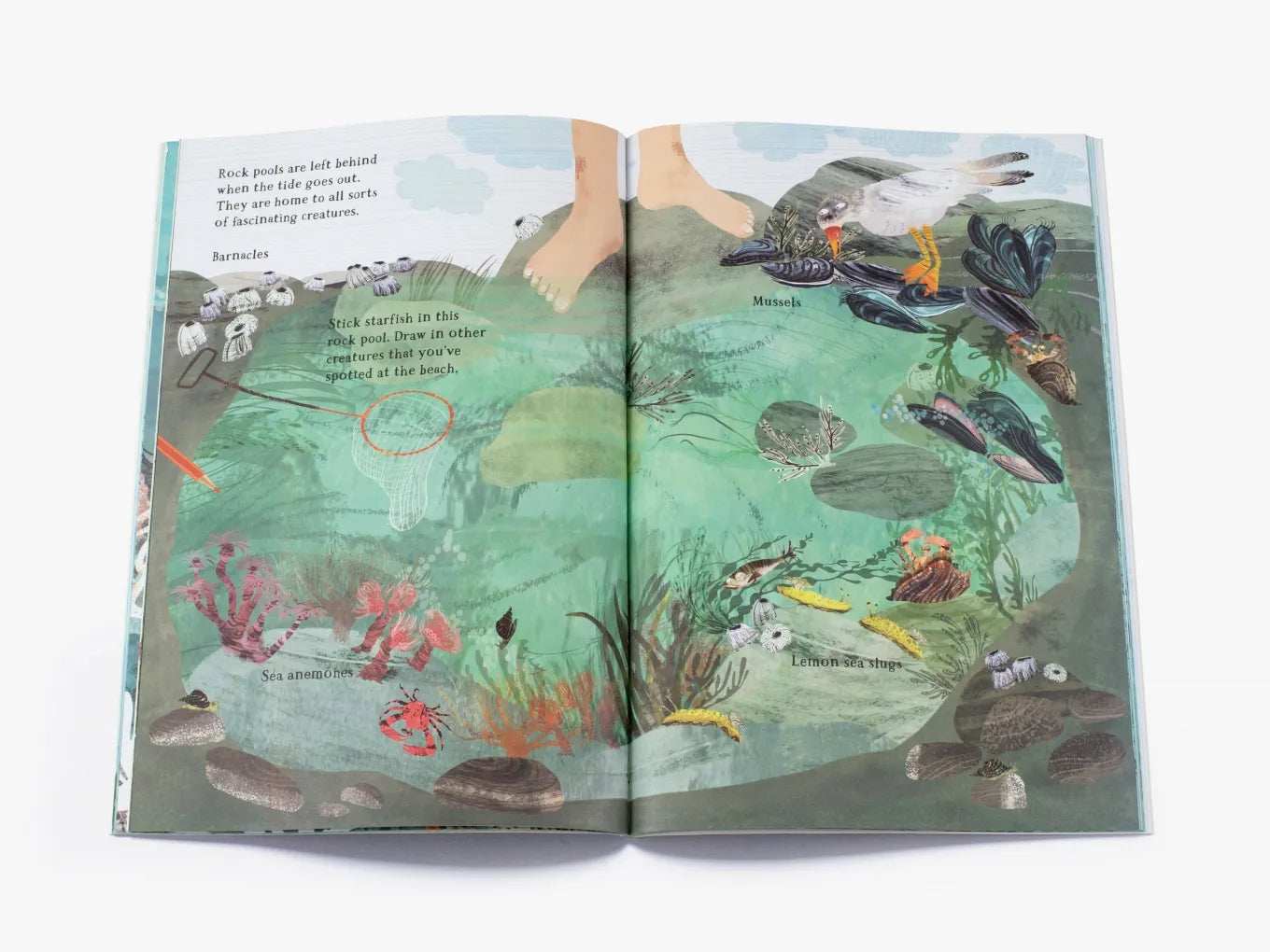 The Big Sticker Book of the Blue - By Yuval Zommer