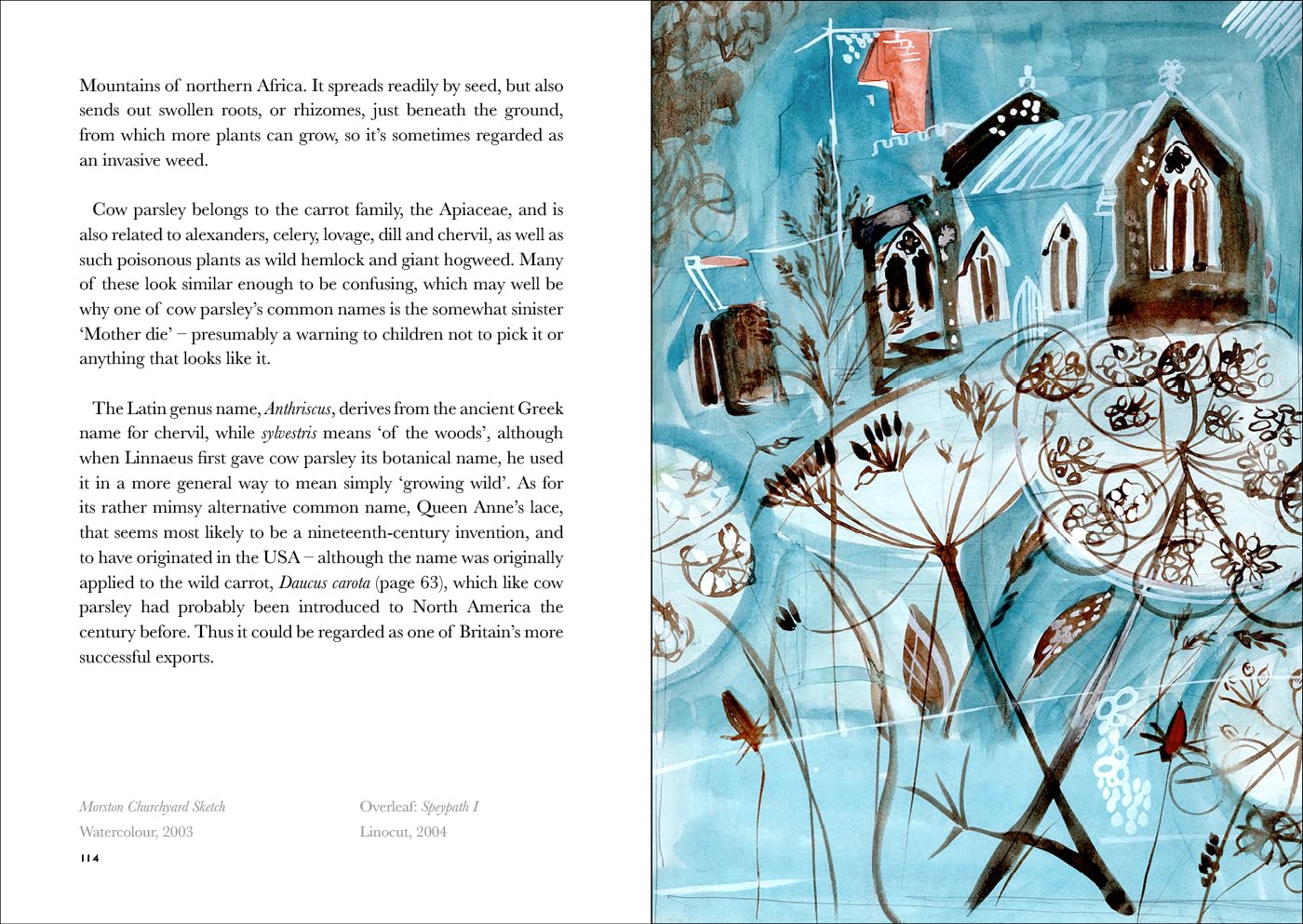 The Book of Wild Flowers - by Angie Lewin & Christopher Stocks