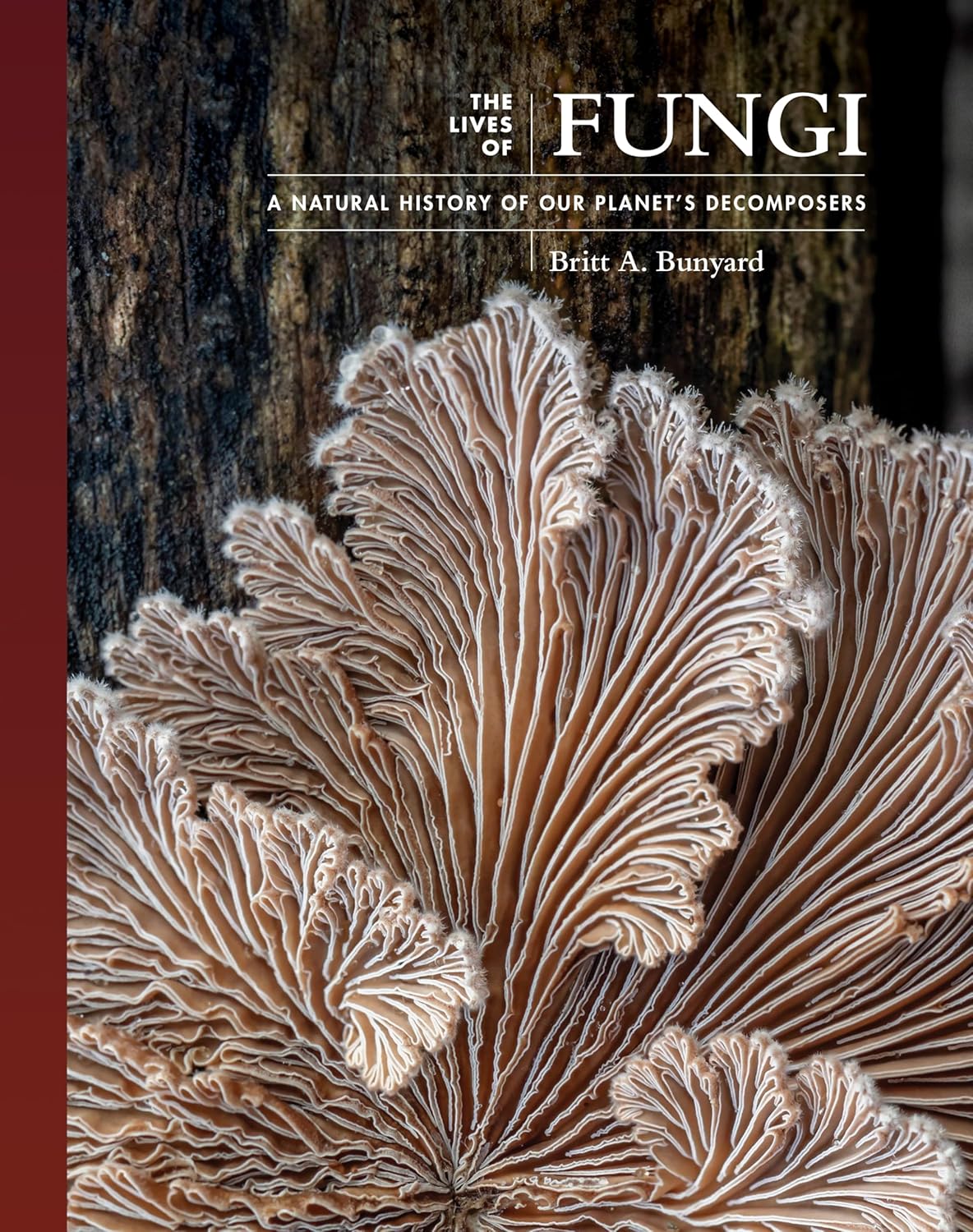 The Lives of Fungi - By Britt A. Bunyard