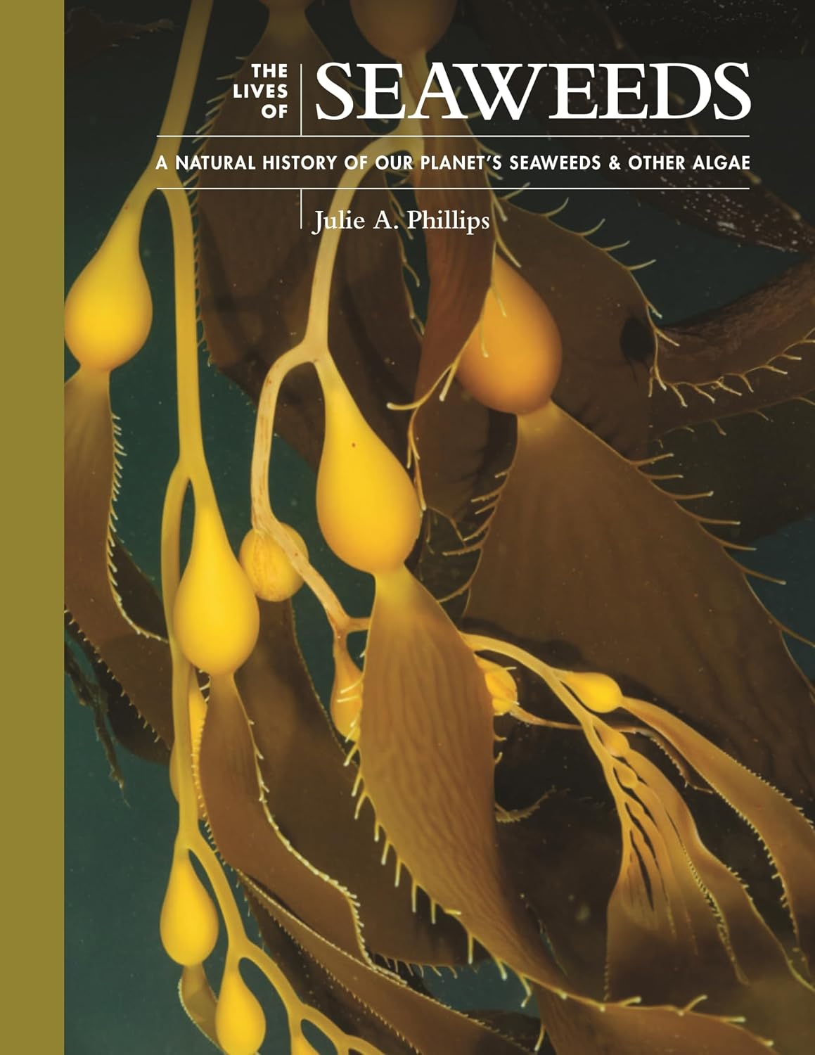 The Lives of Seaweeds - By Julie A. Phillips (Hardback)