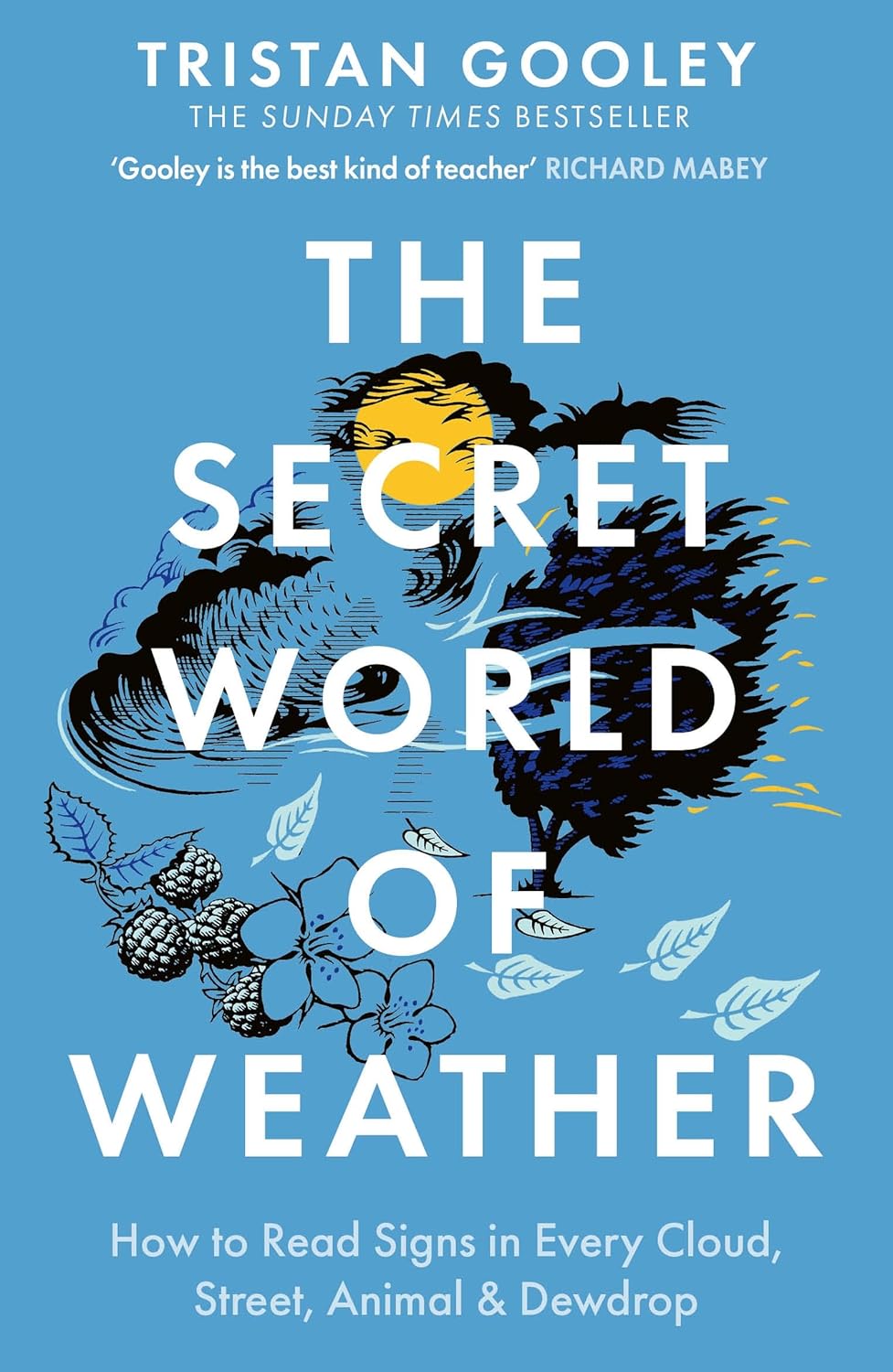 The Secret World of Weather - By Tristan Gooley