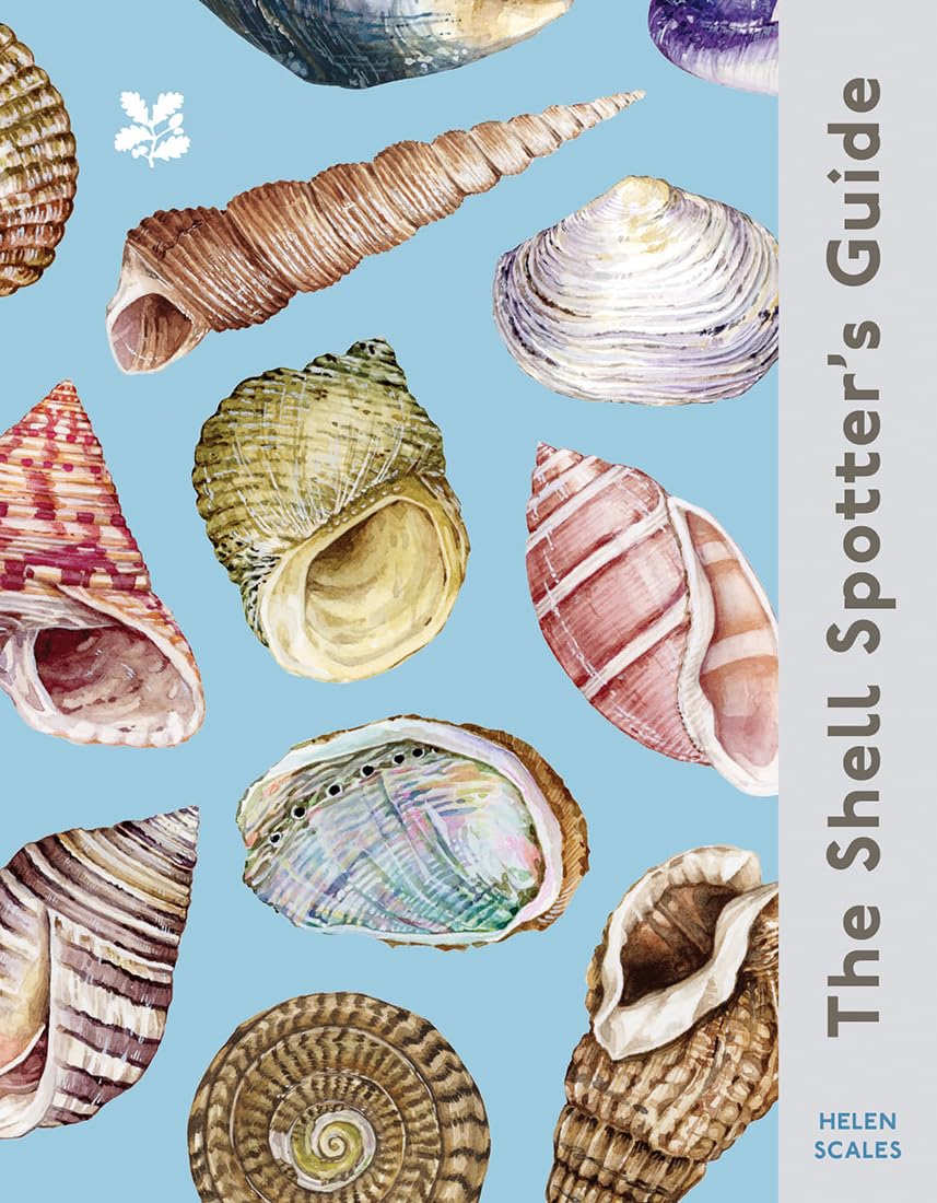 The Shell Spotter’s Guide - By Helen Scales