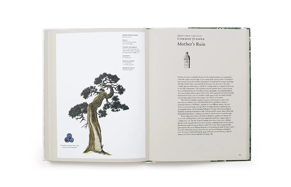 The Story of Trees - By Kevin Hobbs & David West