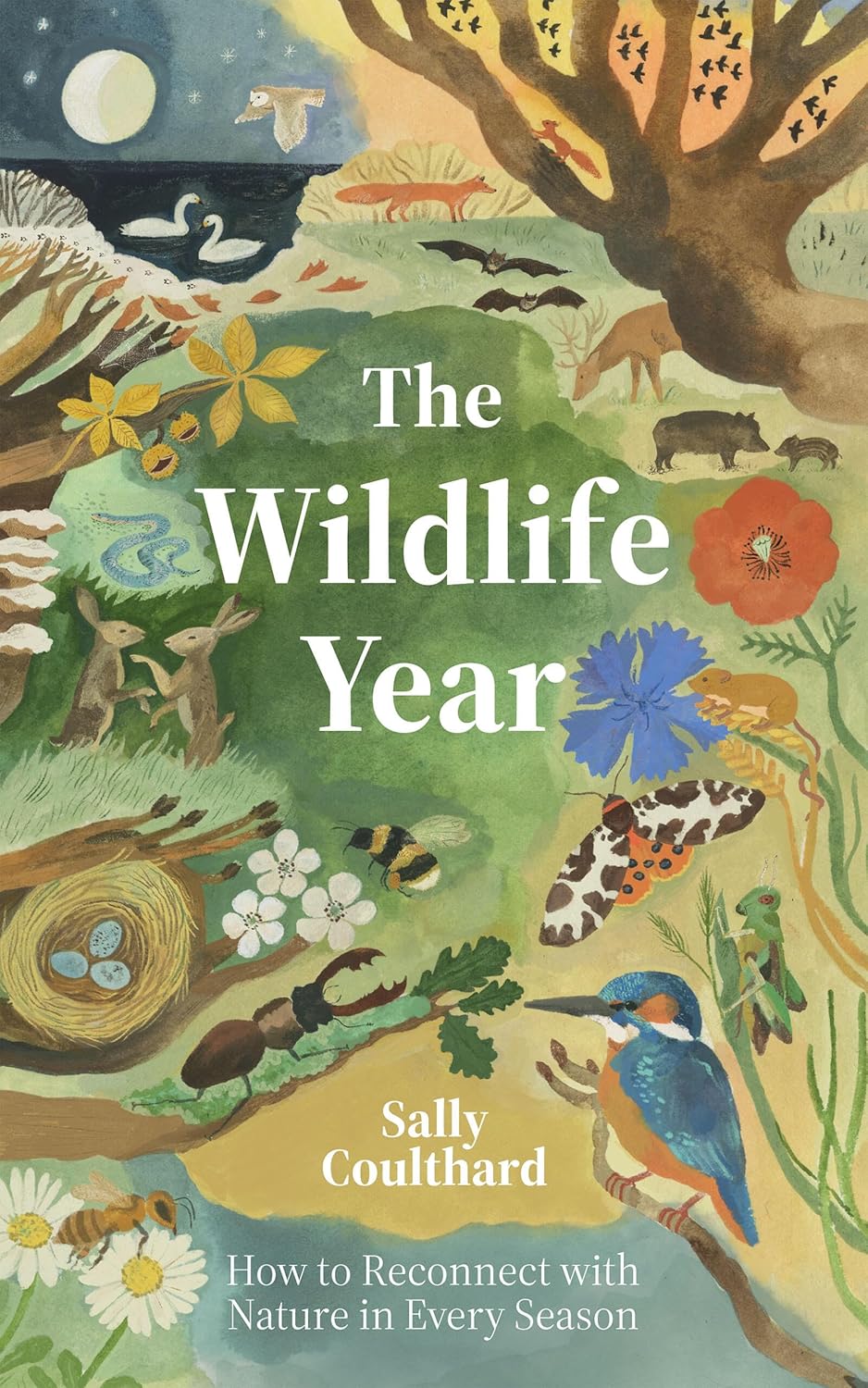The Wildlife Year - By Sally Coulthard