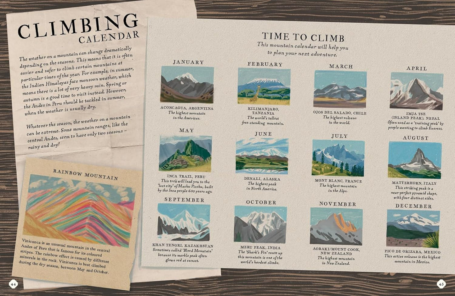 There's a Mountain in This Book