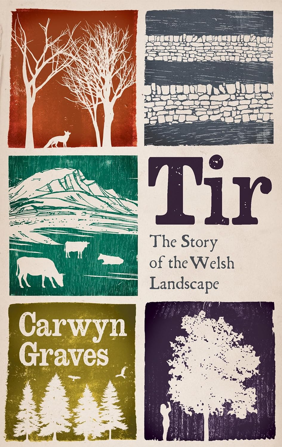 Tir : The Story of the Welsh Landscape - By Carwyn Graves