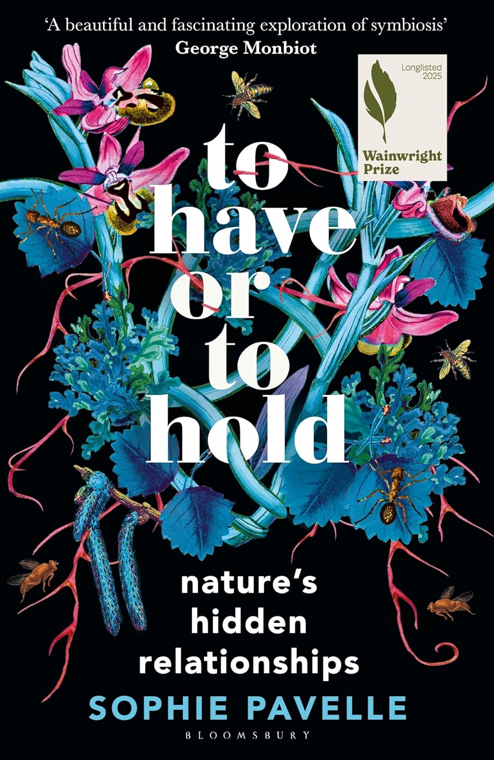 To Have or to Hold - By Sophie Pavelle