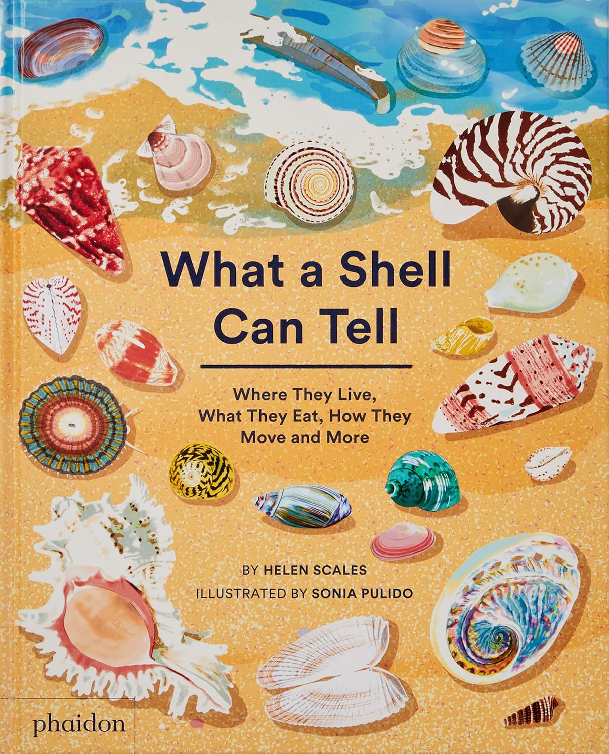 What a Shell Can Tell - By Helen Scales