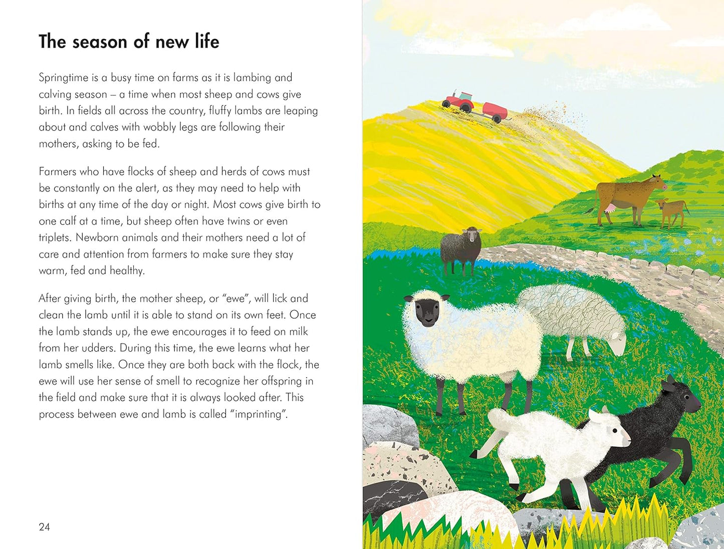 What to Look for in Spring - By Elizabeth Jenner