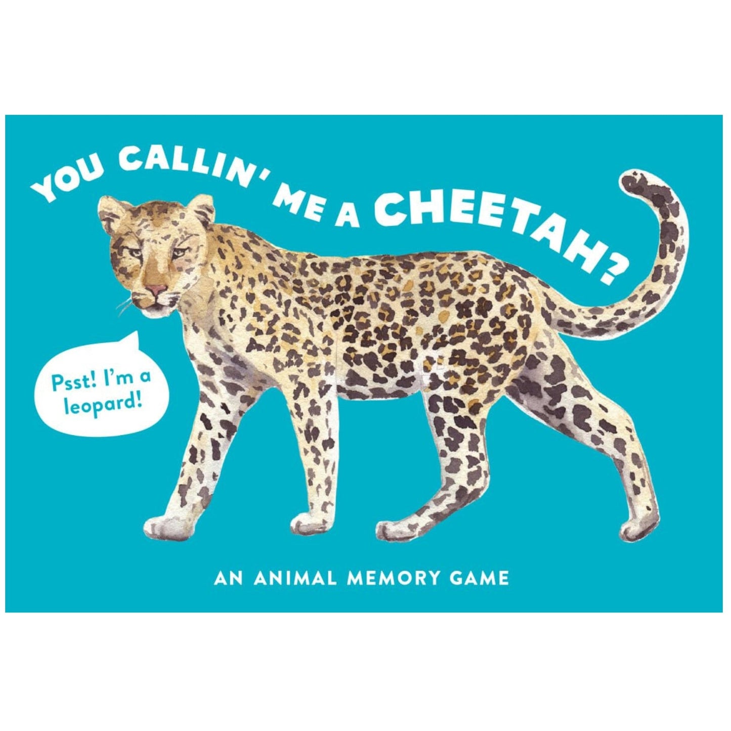 You Callin' Me a Cheetah? An Animal Memory Card Game